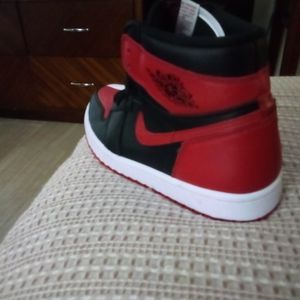 Air Jordan 1 retro high tops